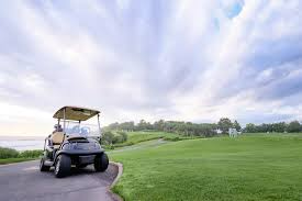 Icon Golf Carts